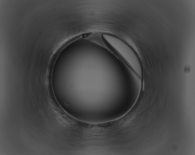 X0000091180387200708301221