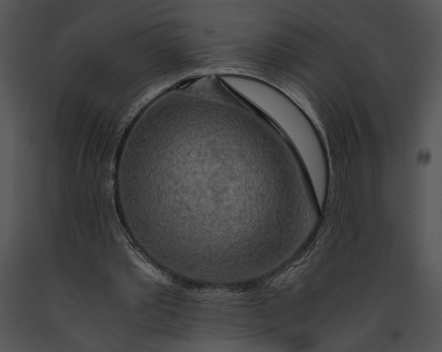 X0000091180389200708301221