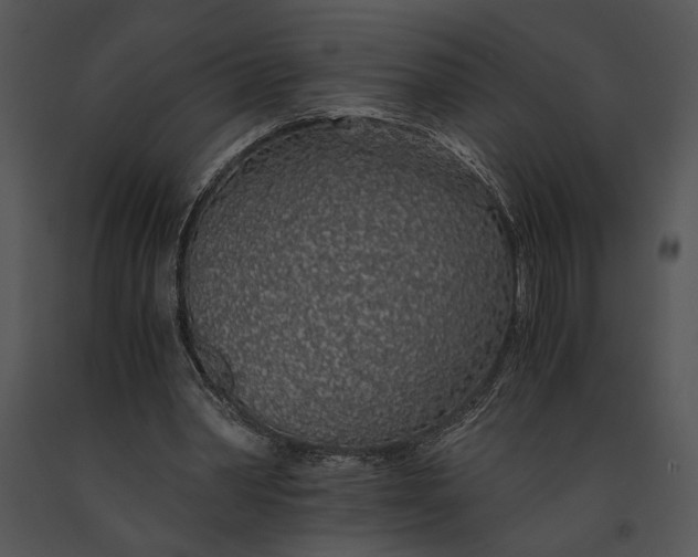 X0000091180390200708301221