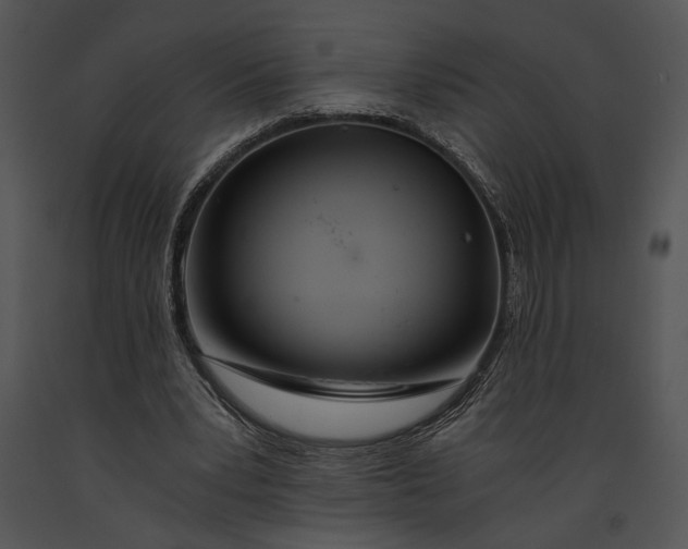 X0000091180391200708301220