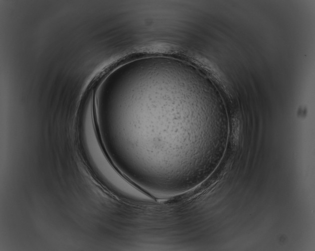 X0000091180392200708301220
