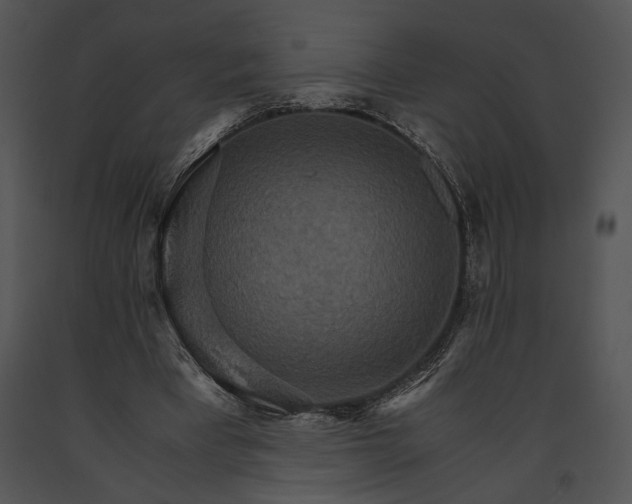 X0000091180393200708301220