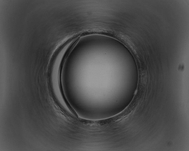 X0000091180395200708301220