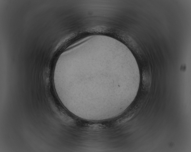 X0000091180396200708301220