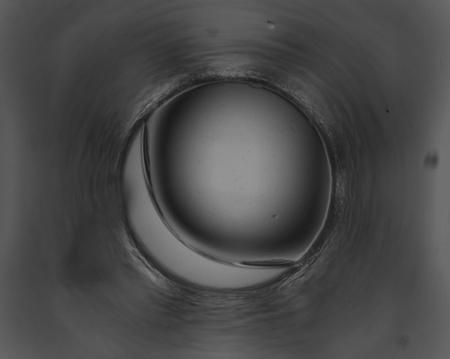 X0000091180397200708301220