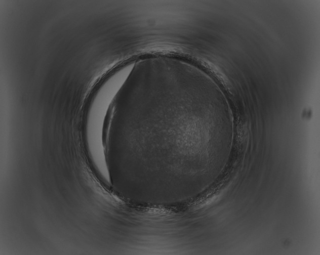 X0000091180399200708301220
