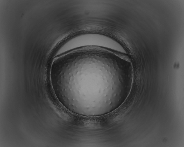 X0000091180400200708301220
