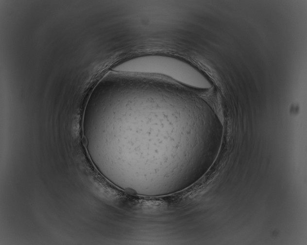 X0000091180401200708301220