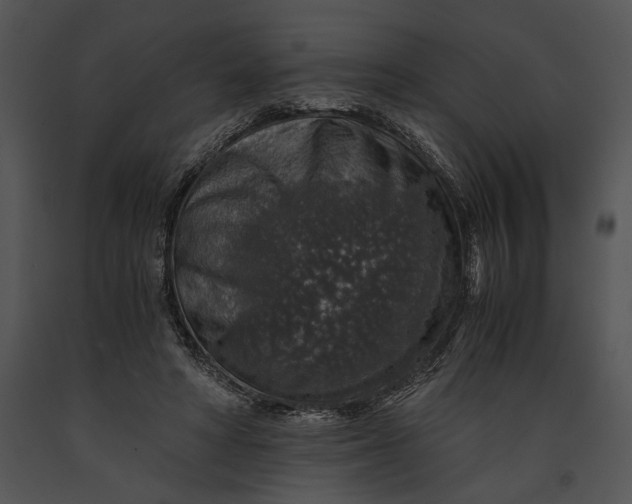 X0000091180402200708301220
