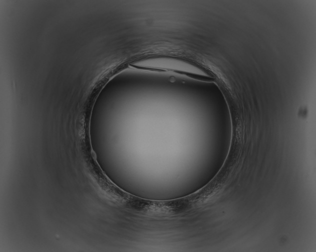 X0000091180403200708301220