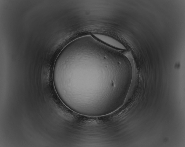 X0000091180404200708301220