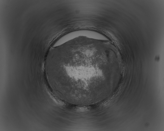 X0000091180405200708301220