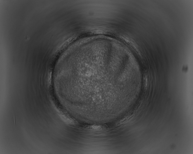 X0000091180406200708301220