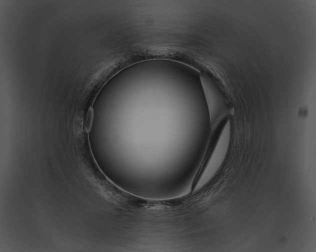 X0000091180407200708301220