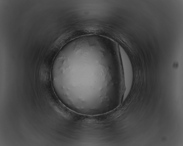 X0000091180408200708301220