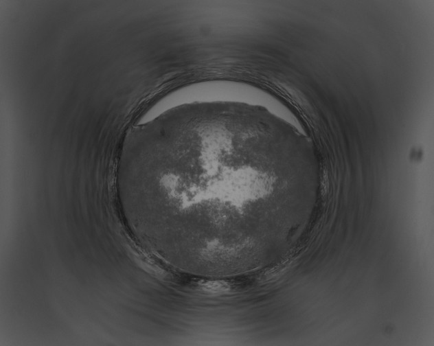 X0000091180409200708301220