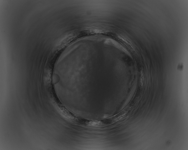 X0000091180410200708301220