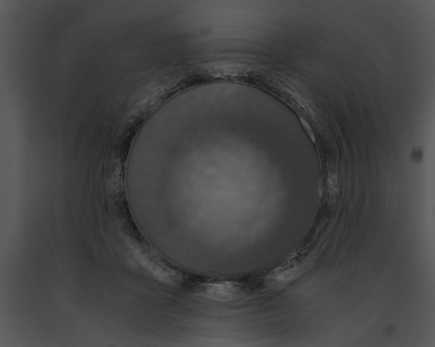 X0000091180411200708301220