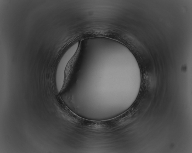X0000091180412200708301220
