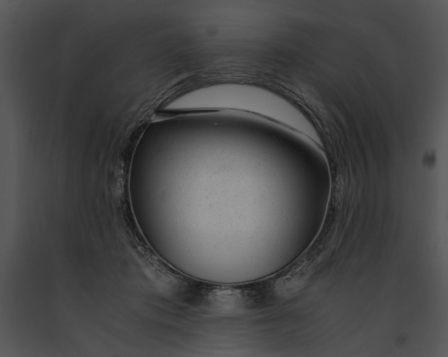 X0000091180413200708301220