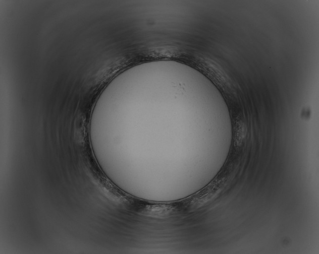 X0000091180414200708301220