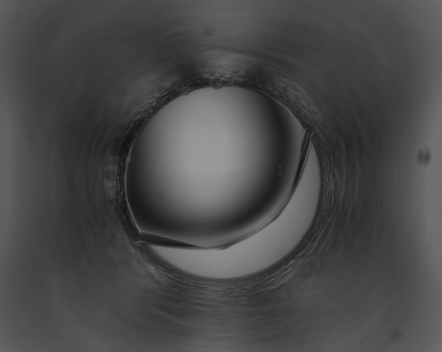 X0000091180416200708301220