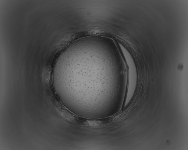 X0000091180417200708301220