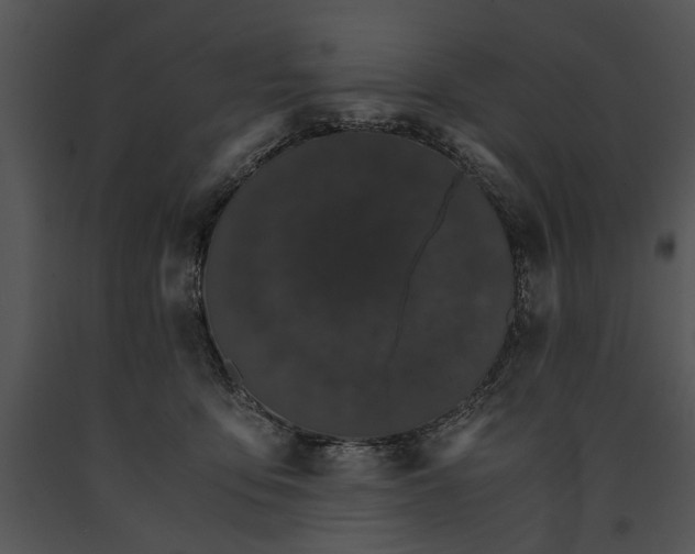 X0000091180419200708301220