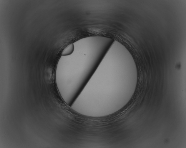 X0000091180420200708301220