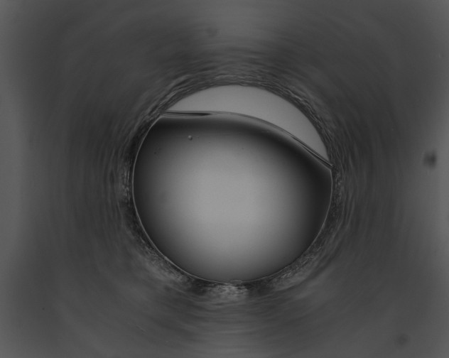 X0000091180421200708301220