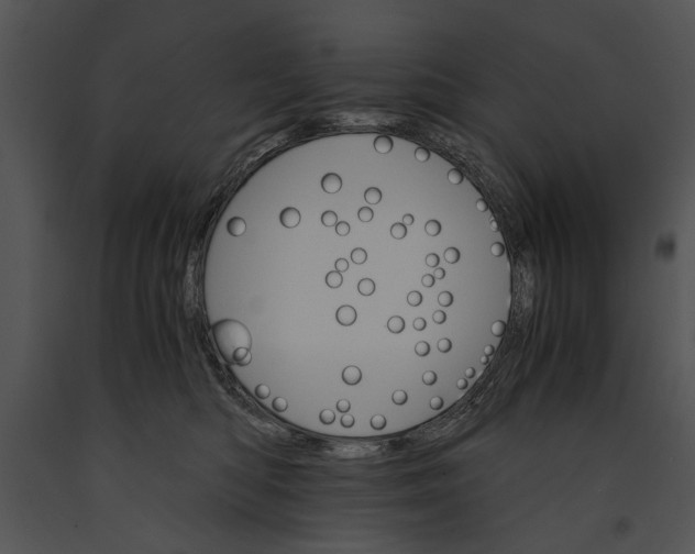 X0000091180422200708301220