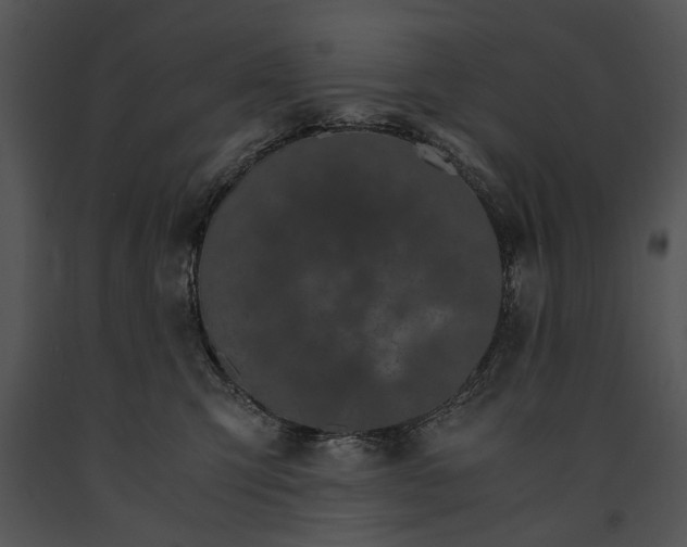 X0000091180423200708301220
