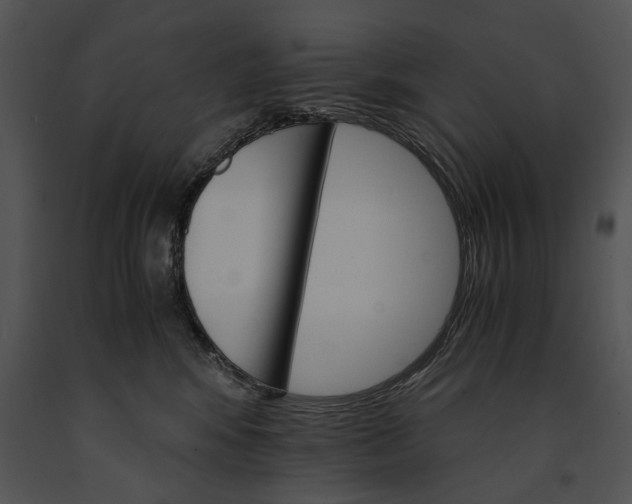 X0000091180424200708301220