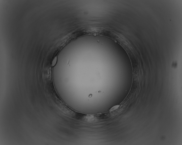 X0000091180425200708301220