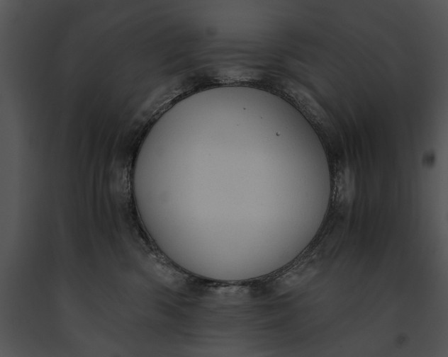 X0000091180426200708301220