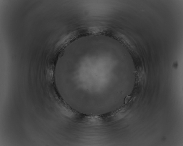 X0000091180427200708301220