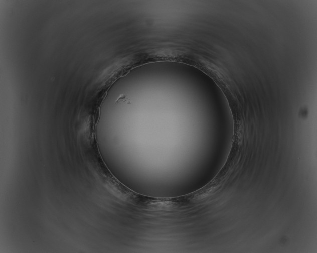 X0000091180428200708301220