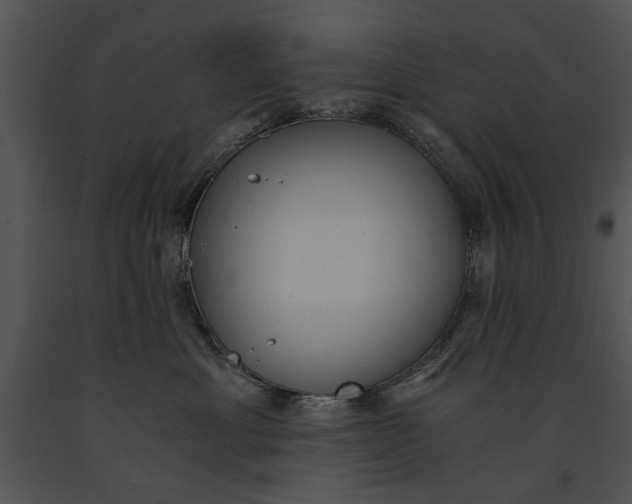 X0000091180429200708301220