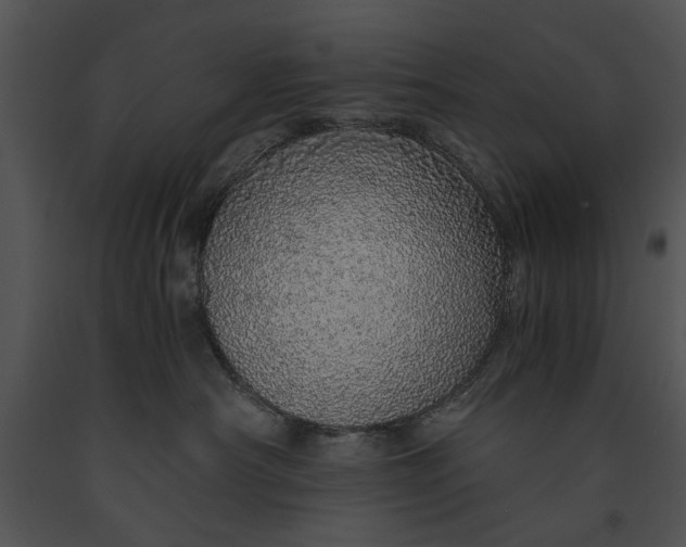X0000091180430200708301220