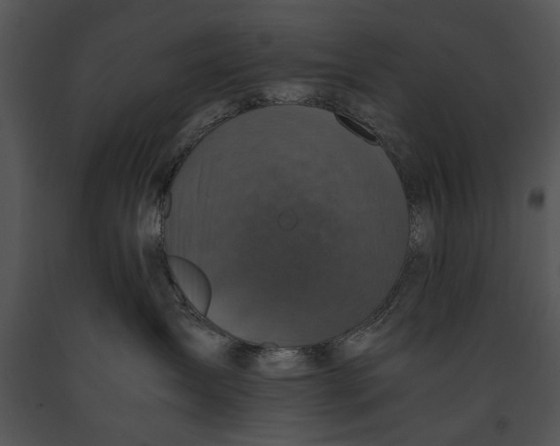X0000091180431200708301220