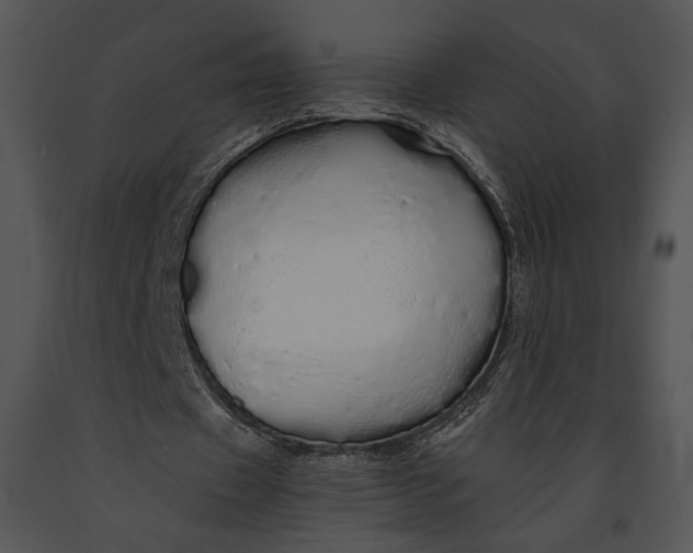 X0000091180433200708301219