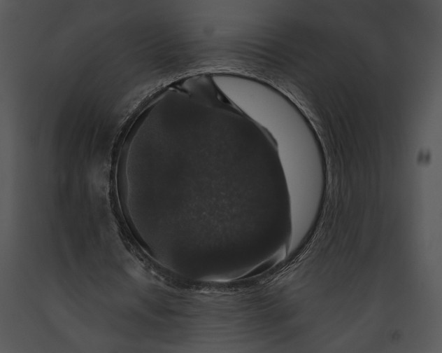 X0000091180434200708301219