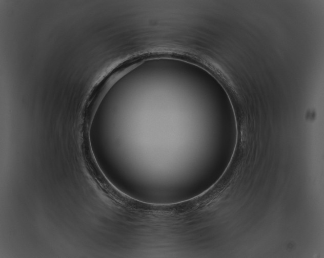 X0000091180436200708301219