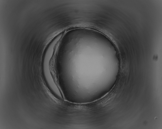 X0000091180437200708301219
