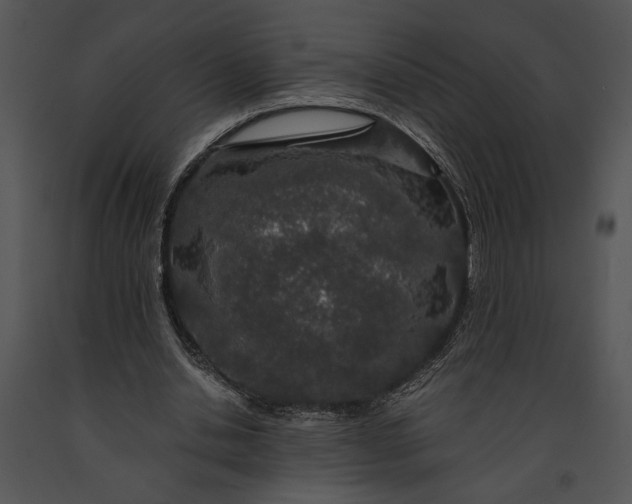 X0000091180438200708301219