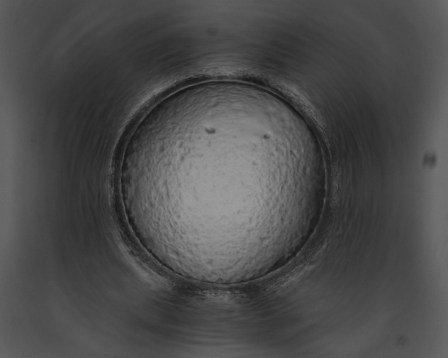 X0000091180439200708301219