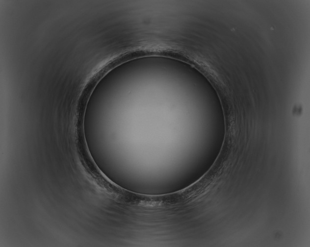 X0000091180440200708301219
