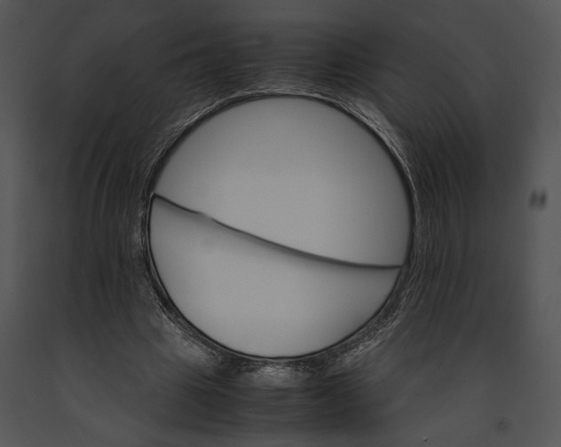 X0000091180441200708301219