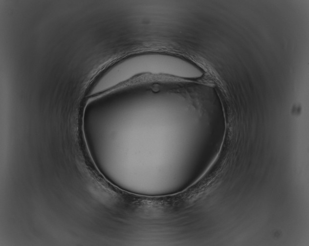 X0000091180442200708301219