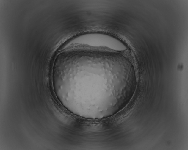 X0000091180443200708301219